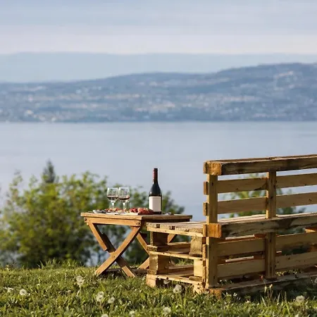 Appartement T2 Ambiance Près D'évian - Piscine&tennis - Vue Léman